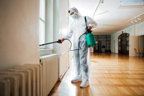 Best Wasp Removal Services  in Eaton Estates, OH